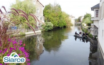 Image de la rivière d'Essonne
