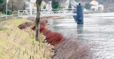 Berges de Seine confortées